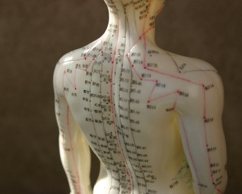 acupuncture-meridians